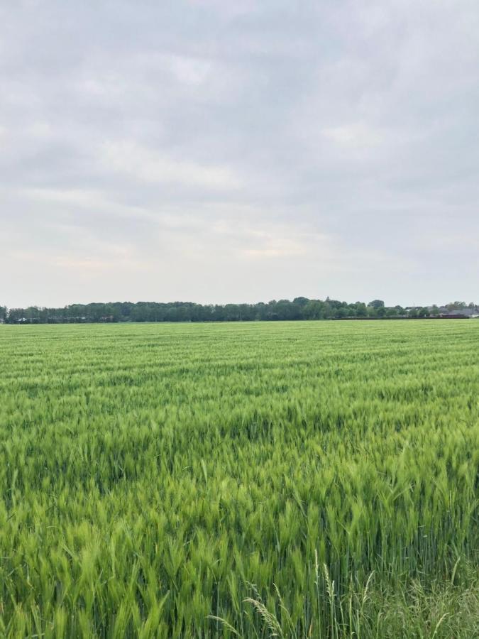 Bee Home - Urlaubs Und Business Loft Kevelaer Exterior foto